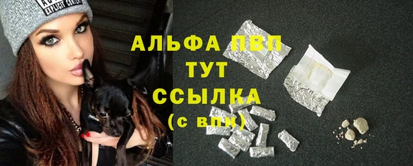 шишки Абинск
