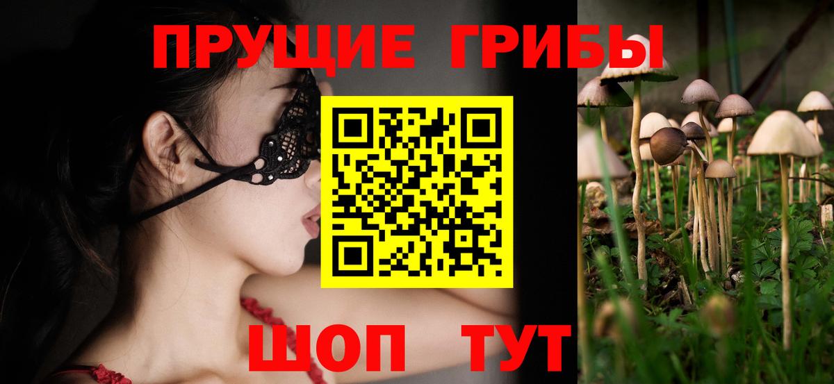 Галлюциногенные грибы Magic Shrooms  Вход с VPN  Астрахань  Псилоцибиновые грибы Psilocybine cubensis 