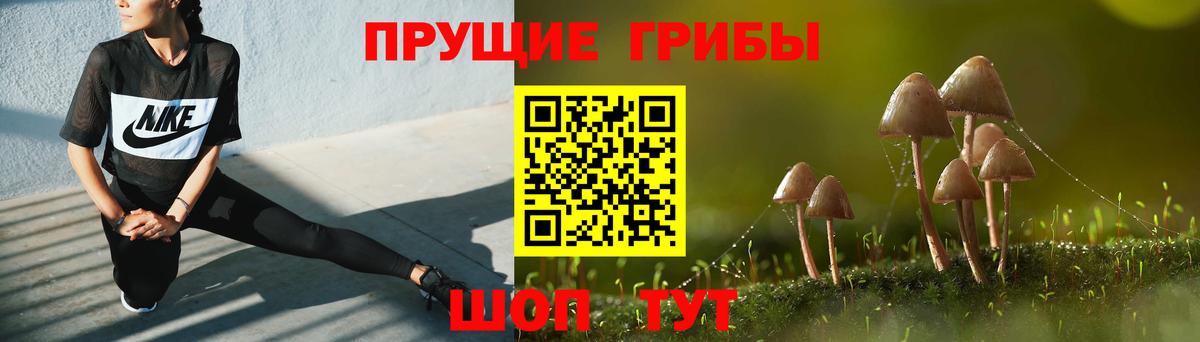 Галлюциногенные грибы GOLDEN TEACHER Астрахань