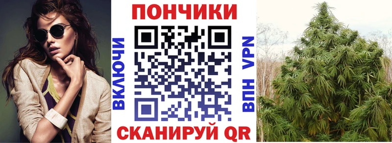 Бошки марихуана Bruce Banner Астрахань